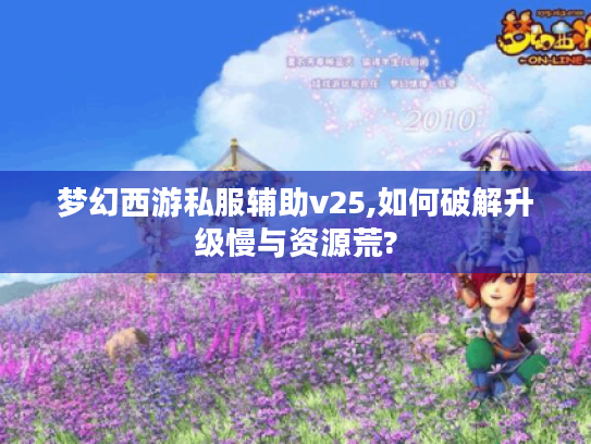 梦幻西游私服辅助v25,如何破解升级慢与资源荒?