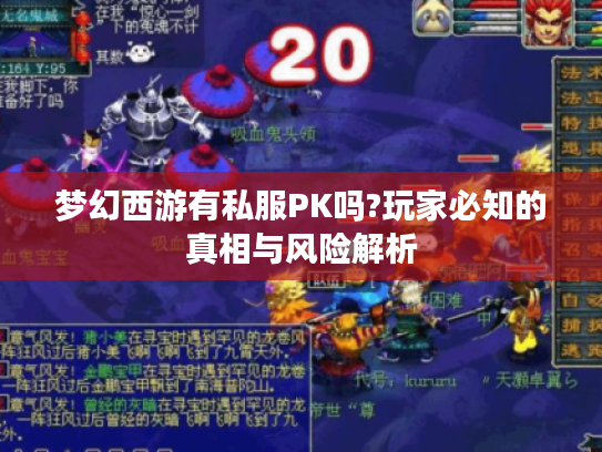 梦幻西游有私服PK吗?玩家必知的真相与风险解析