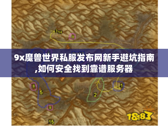 9x魔兽世界私服发布网新手避坑指南,如何安全找到靠谱服务器