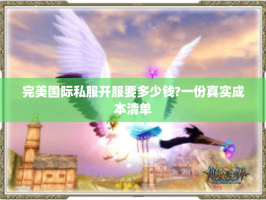 完美国际私服开服要多少钱?一份真实成本清单