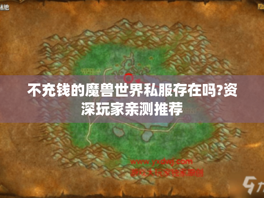 不充钱的魔兽世界私服存在吗?资深玩家亲测推荐