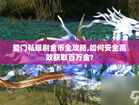 蜀门私服刷金币全攻略,如何安全高效获取百万金?