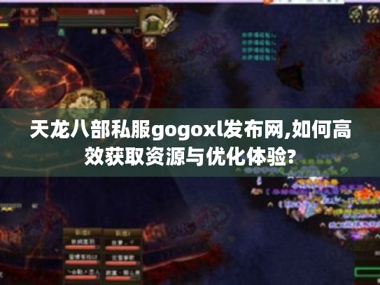 天龙八部私服gogoxl发布网,如何高效获取资源与优化体验?