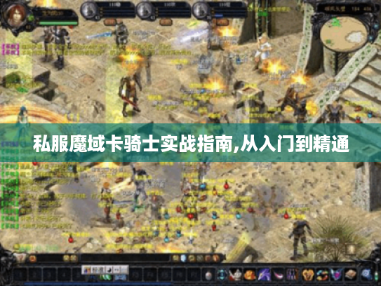 私服魔域卡骑士实战指南,从入门到精通
