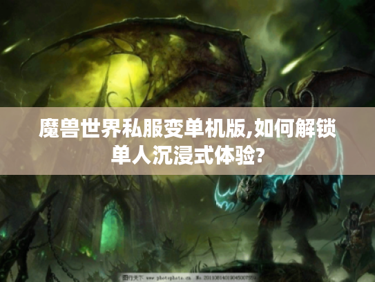 魔兽世界私服变单机版,如何解锁单人沉浸式体验?