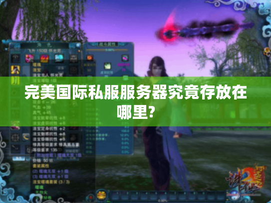 完美国际私服服务器究竟存放在哪里?