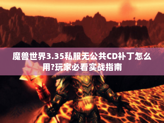 魔兽世界3.35私服无公共CD补丁怎么用?玩家必看实战指南