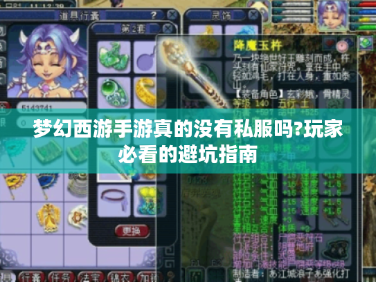 梦幻西游手游真的没有私服吗?玩家必看的避坑指南