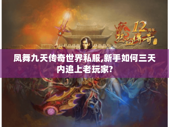 凤舞九天传奇世界私服,新手如何三天内追上老玩家?