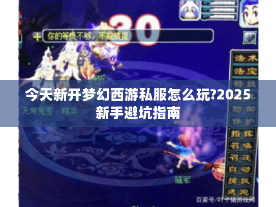 今天新开梦幻西游私服怎么玩?2025新手避坑指南