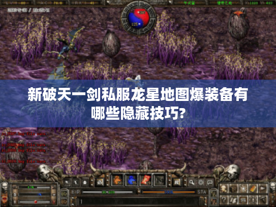 新破天一剑私服龙星地图爆装备有哪些隐藏技巧?