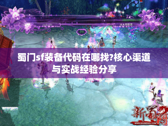 蜀门sf装备代码在哪找?核心渠道与实战经验分享