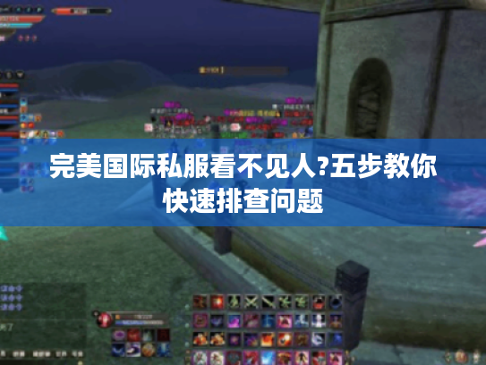 完美国际私服看不见人?五步教你快速排查问题