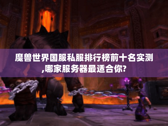 魔兽世界国服私服排行榜前十名实测,哪家服务器最适合你?