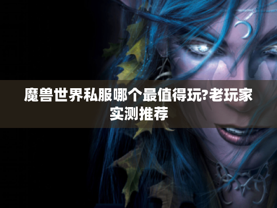 魔兽世界私服哪个最值得玩?老玩家实测推荐