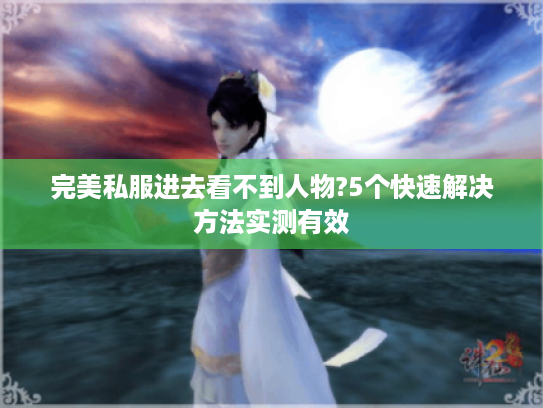 完美私服进去看不到人物?5个快速解决方法实测有效