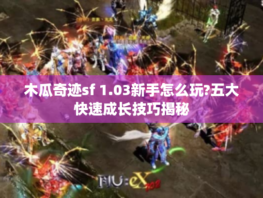 木瓜奇迹sf 1.03新手怎么玩?五大快速成长技巧揭秘 木瓜奇迹sf 1.03新手怎么玩?五大快速成长技巧揭秘