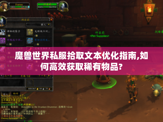 魔兽世界私服拾取文本优化指南,如何高效获取稀有物品?