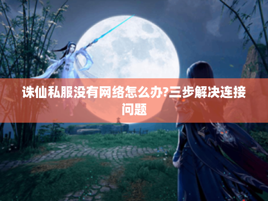 诛仙私服没有网络怎么办?三步解决连接问题