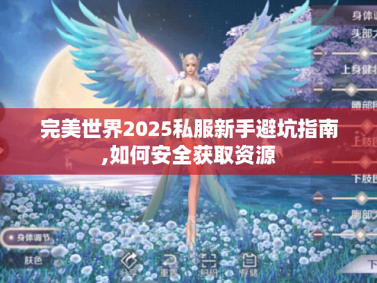 完美世界2025私服新手避坑指南,如何安全获取资源