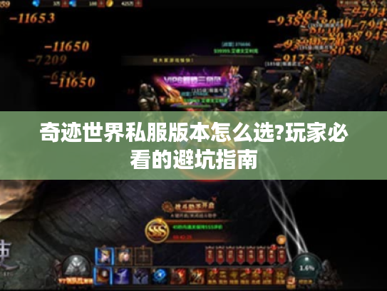 奇迹世界私服版本怎么选?玩家必看的避坑指南