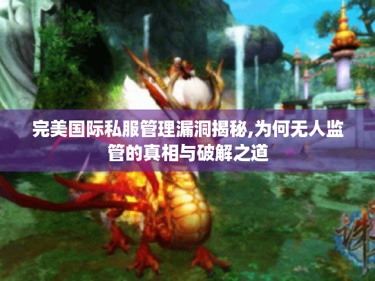 完美国际私服管理漏洞揭秘,为何无人监管的真相与破解之道