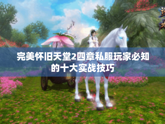 完美怀旧天堂2四章私服玩家必知的十大实战技巧