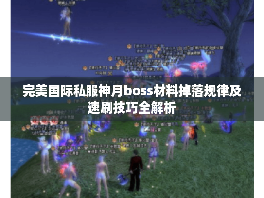完美国际私服神月boss材料掉落规律及速刷技巧全解析