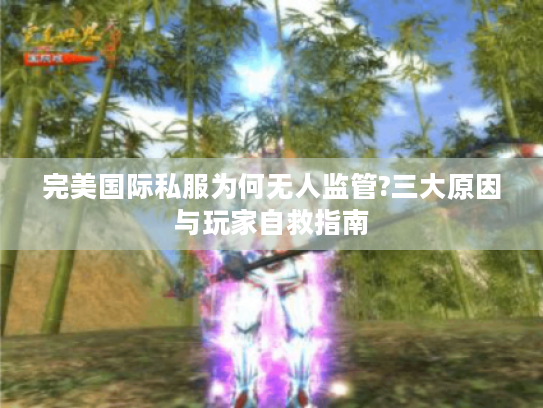 完美国际私服为何无人监管?三大原因与玩家自救指南