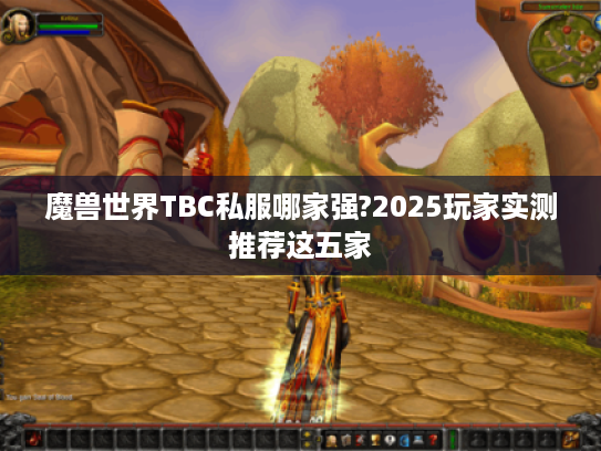 魔兽世界TBC私服哪家强?2025玩家实测推荐这五家 魔兽世界TBC私服哪家强?2025玩家实测推荐这五家