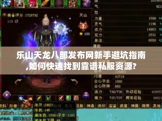 乐山天龙八部发布网新手避坑指南,如何快速找到靠谱私服资源?