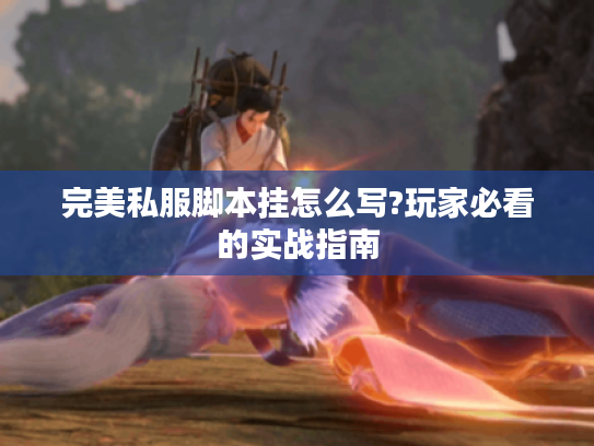 完美私服脚本挂怎么写?玩家必看的实战指南