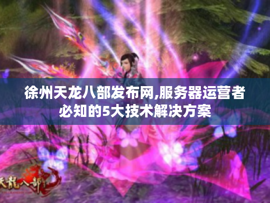 徐州天龙八部发布网,服务器运营者必知的5大技术解决方案