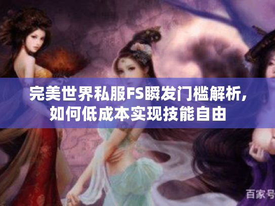 完美世界私服FS瞬发门槛解析,如何低成本实现技能自由