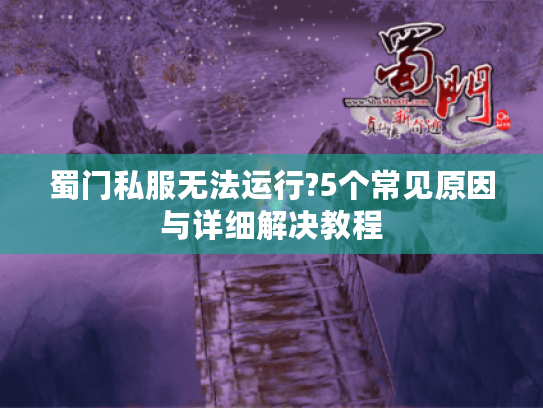 蜀门私服无法运行?5个常见原因与详细解决教程