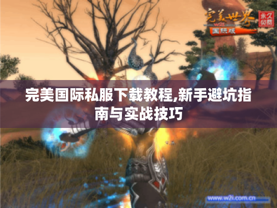完美国际私服下载教程,新手避坑指南与实战技巧