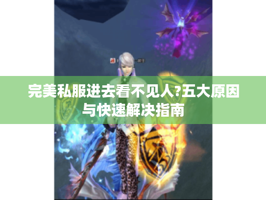 完美私服进去看不见人?五大原因与快速解决指南