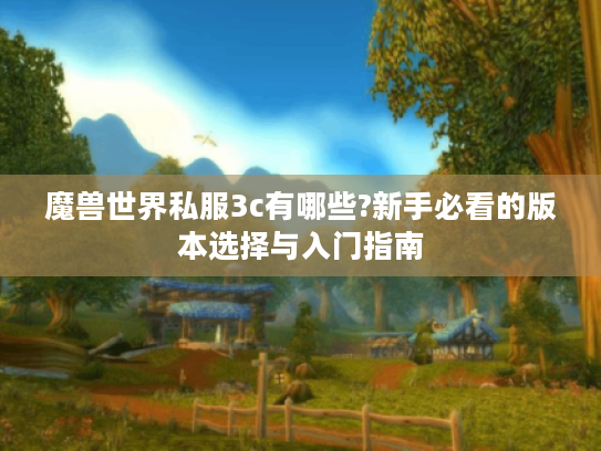魔兽世界私服3c有哪些?新手必看的版本选择与入门指南