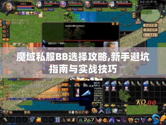 魔域私服BB选择攻略,新手避坑指南与实战技巧