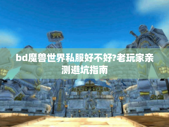 bd魔兽世界私服好不好?老玩家亲测避坑指南