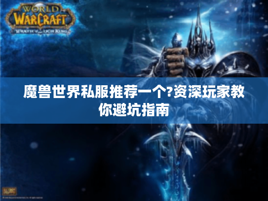 魔兽世界私服推荐一个?资深玩家教你避坑指南