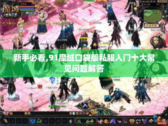 新手必看,91魔域口袋版私服入门十大常见问题解答