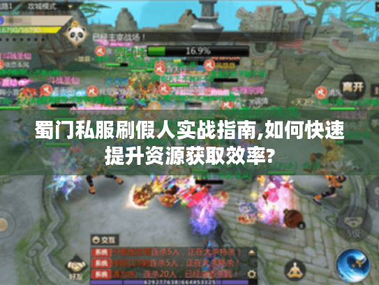 蜀门私服刷假人实战指南,如何快速提升资源获取效率?