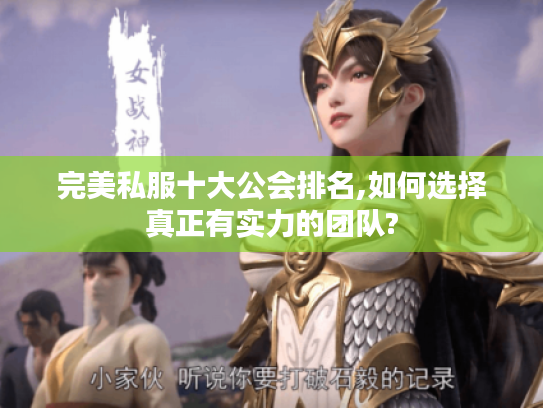 完美私服十大公会排名,如何选择真正有实力的团队?