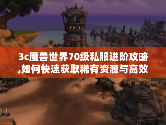 3c魔兽世界70级私服进阶攻略,如何快速获取稀有资源与高效玩法