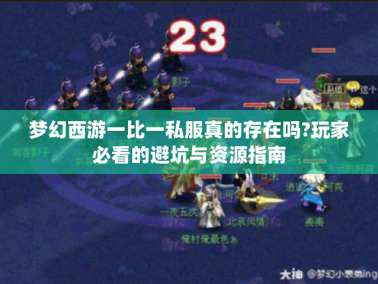 梦幻西游一比一私服真的存在吗?玩家必看的避坑与资源指南