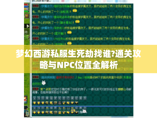 梦幻西游私服生死劫找谁?通关攻略与NPC位置全解析