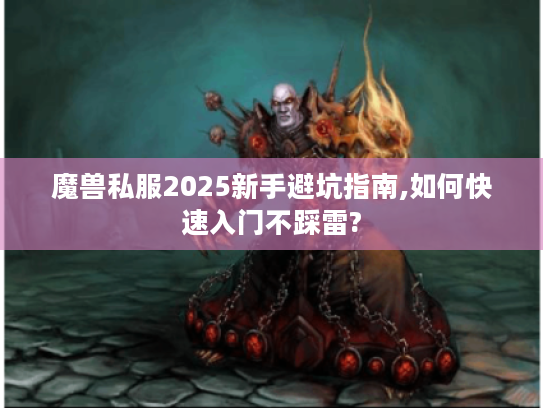 魔兽私服2025新手避坑指南,如何快速入门不踩雷?