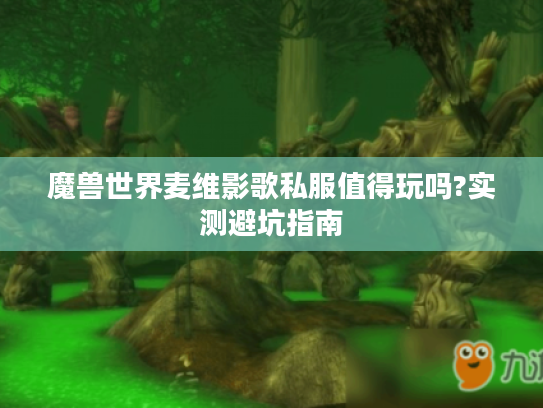 魔兽世界麦维影歌私服值得玩吗?实测避坑指南