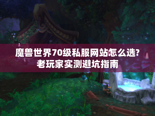 魔兽世界70级私服网站怎么选?老玩家实测避坑指南